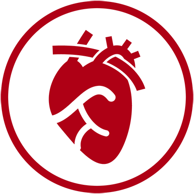 icono-biomedica-2020-04.webp