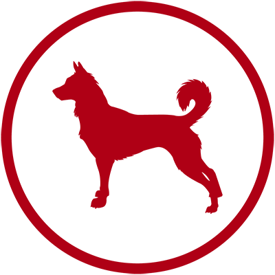 icono-biomedica-2020-06.webp