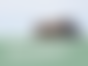 Iowa Farmland Recent Sales: December Week 4