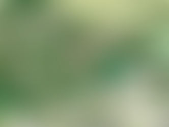 LANDGOED de ELZENHOEVE