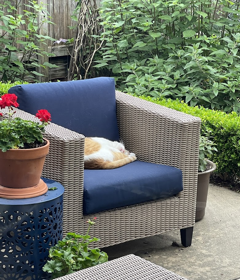 My Favorite Summer Outdoor Finds by Houston interior designer Nancy Lane Interiors.
outdoor garden decor
gardening supplies
outdoor furniture
summer garden