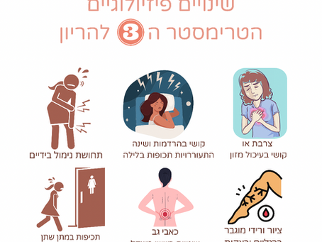 שינויים פיזיולוגיים - הטרימסטר ה-3 להריון