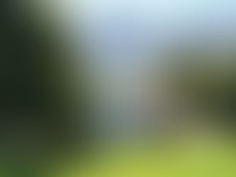 Bezienswaardigheid Zuid-Afrika: de Kaapse Wijnlanden