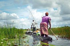 Okavango Delta.jpeg