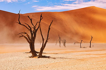 Sossusvlei Namibië.jpeg