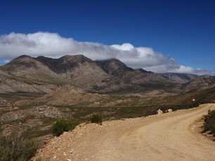 Bezienswaardigheid Zuid-Afrika: de Swartberg Pass