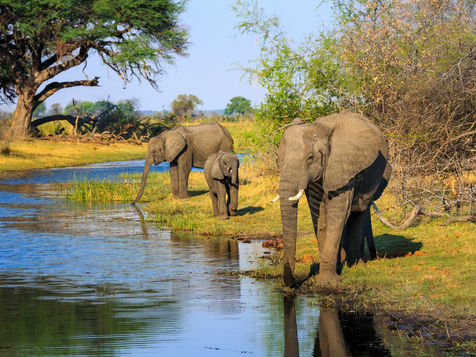 Bezienswaardigheid Botswana – Chobe National Park