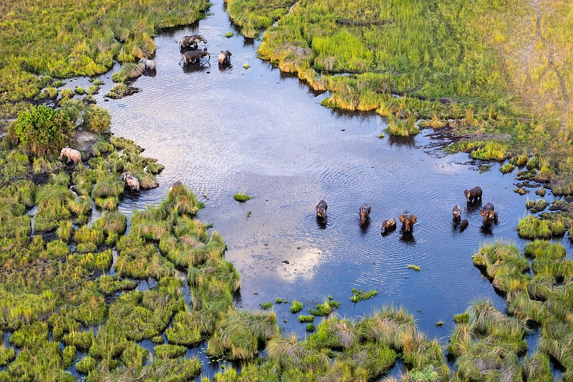 Okavango Delta 13.jpeg