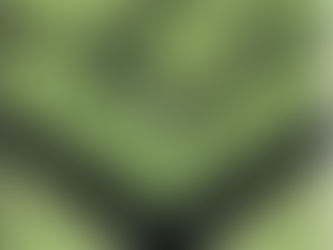 W1D1 ¿DE QUÉ MANERA?