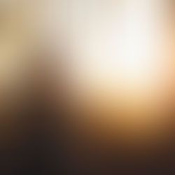 W1D4 LA MANERA DEL HOMBRE 