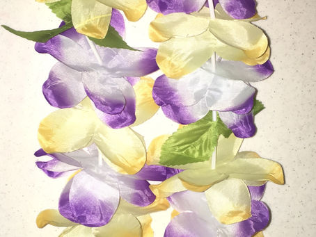 💋Week 4/24/19