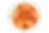 Pizza Capriciosa
