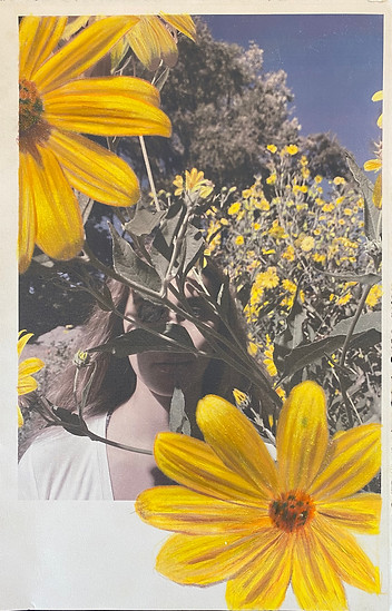 Copy of _Behind the Flowers_ 11X17, colored pencils .jpg