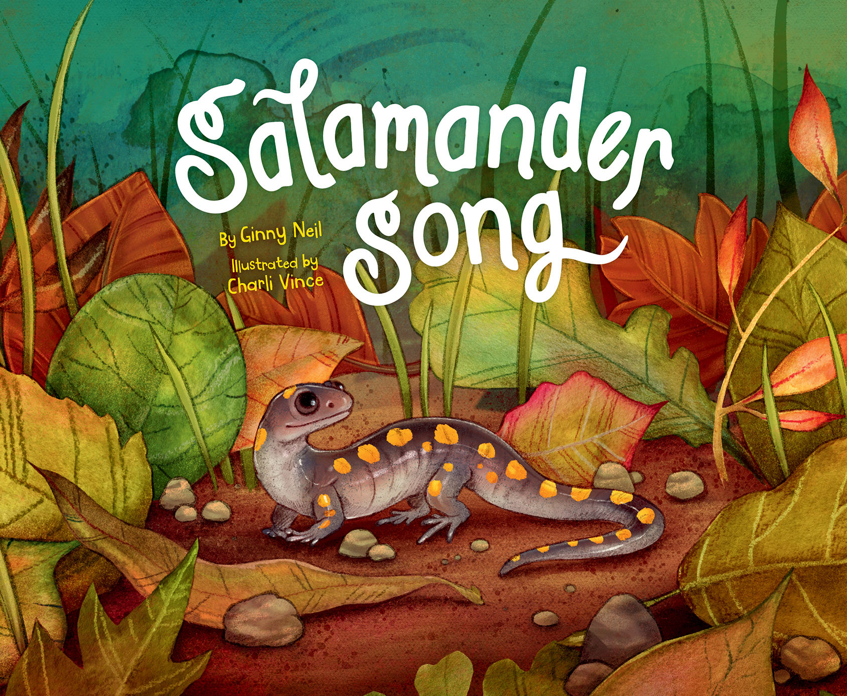 Salamander Song