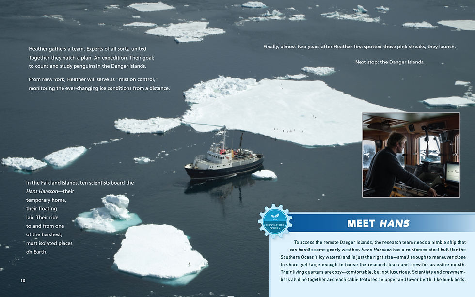 Thumbnail: Chasing Guano: The Discovery of a Penguin Supercolony