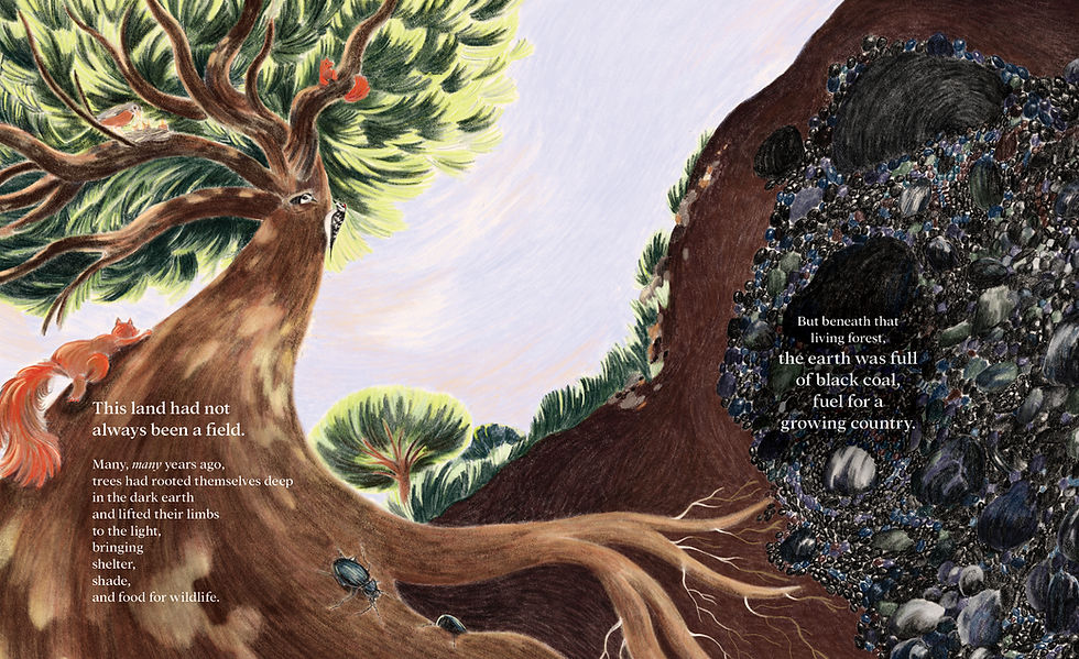 Thumbnail: 150,000 Trees: Growing a Memorial for 9/11's Flight 93