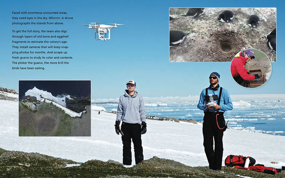 Thumbnail: Chasing Guano: The Discovery of a Penguin Supercolony