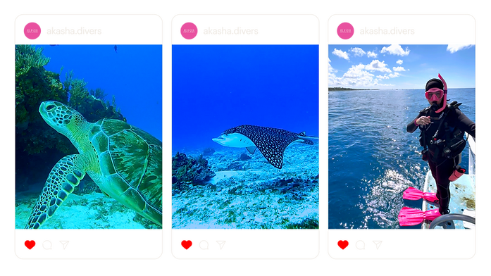 Sin título-1 [Recuperado].png