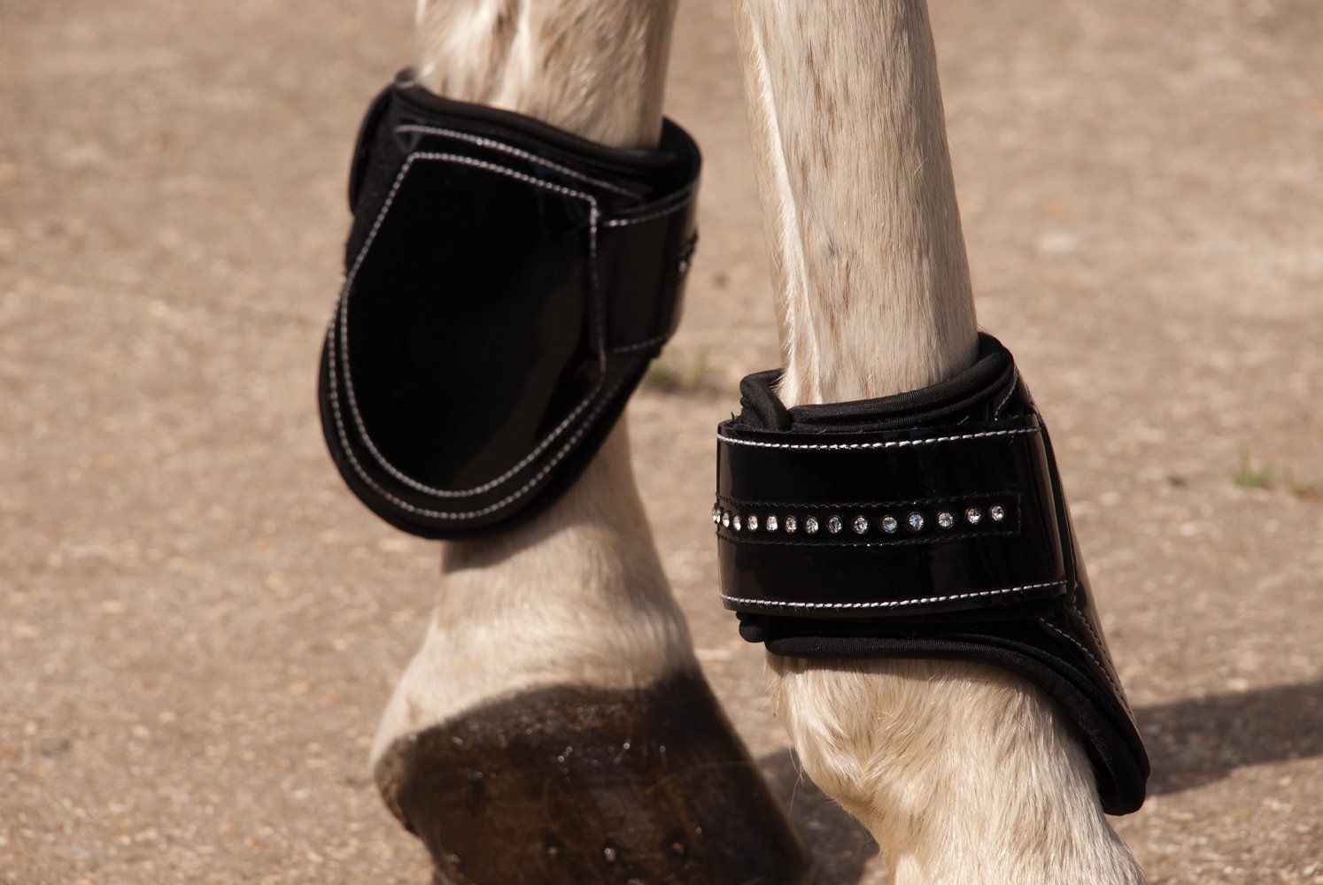 patent crystal fetlock