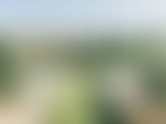 Best Destination Wedding Locations in the USA for 2025