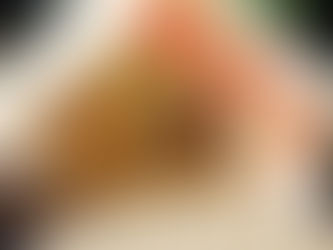 backyard glamping styling in Florida