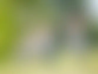 Outdoor Party Essentials for South Florida Weather