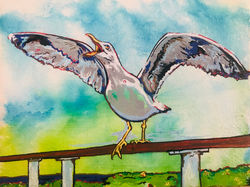 Squawk