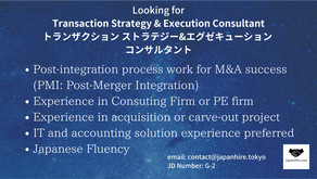 M&A Strategy& Execution Consultant Needed