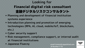 Financial Digital Risk Consultant Needed