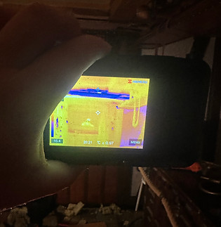 03.07.23-5-Allia-2967809.jpeg