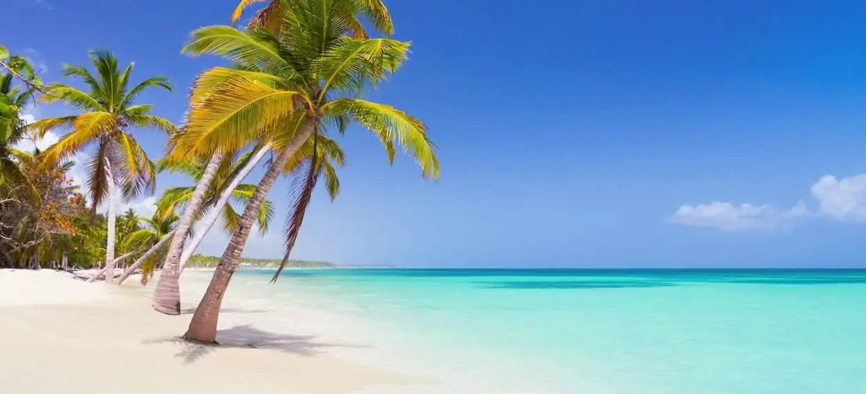 playa puj.webp