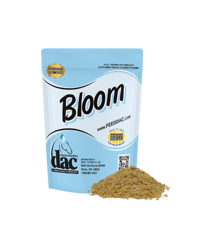 dac® Bloom | Miguel Aguilar Custo