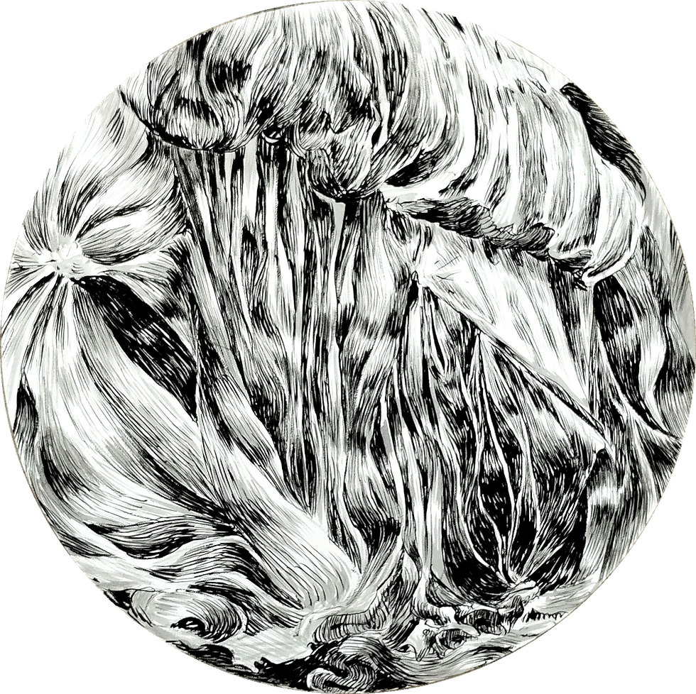 sous l'écliptique 2025