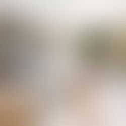 Wood-Clad Windows: The Architect's Case for Hybrid Construction in Luxury Builds