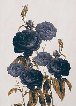 Modern Art Print