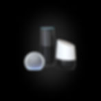 Amazon Alexa and Google Home devices compatible with residential automatic sliding door control systems