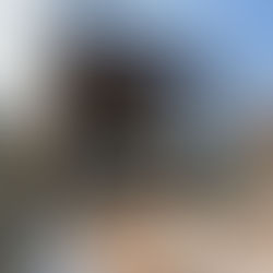 Multi panel sliding glass doors creating expansive opening in modern luxury home with outdoor patio and wooden accent wall