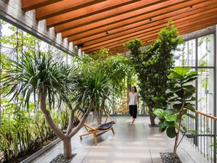 Biophilic Interior Design: Bringing Nature Indoors