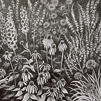 graphite drawing of native garden full of flowers