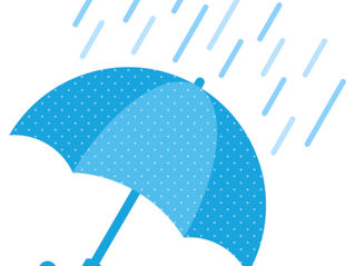 本日雨天中止です(更新)