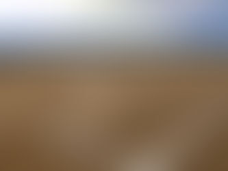 本日の大会は決行です!