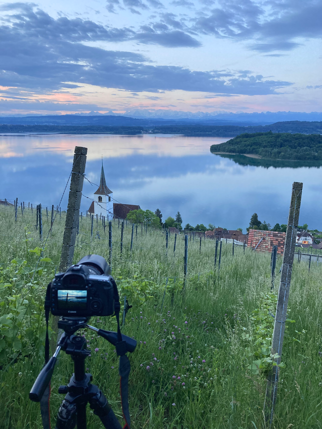 Im Vordergrund sieht man eine Kamera auf dem Stativ in einem Weinberg stehen. Im Hintergrund sieht man die Reben, die Kirche von Ligerz, den Bielersee mit der St. Petersinsel und die Alpen bei einer Sonnenaufgangsstimmung.