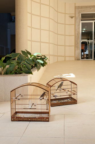 Zwei hölzerne Vogelkäfige mit je einem Vogel darin die am Boden vor einem Hauseingang in Leblon stehen in Rio de Janeiro, Brasilien.