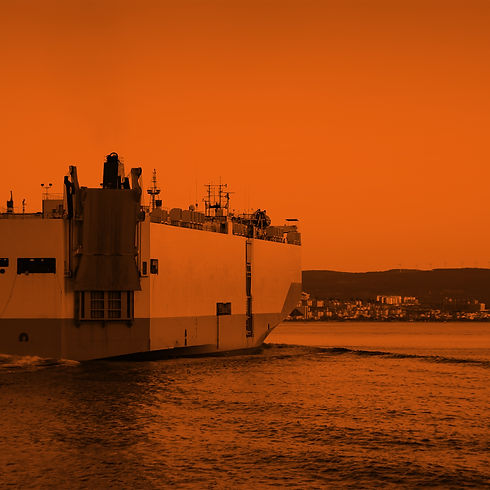 RORO.jpg