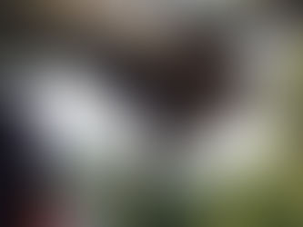 ขอความช่วยเหลือมีรังผึ้งริมระเบียงห้องพัก ถนนราษฎร์พัฒนา