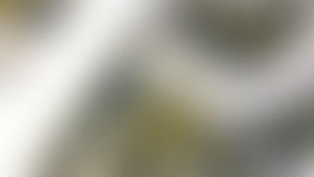 งูเข้าห้องเครื่องรถยนต์ ถนนบึงขวาง