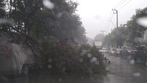 ฝนตก ลมแรง กิ่งไม้หักขวางถนน ซอยรามคำแหง 21