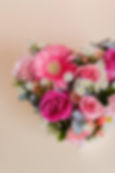fabysalmeronphoto-7923.jpg