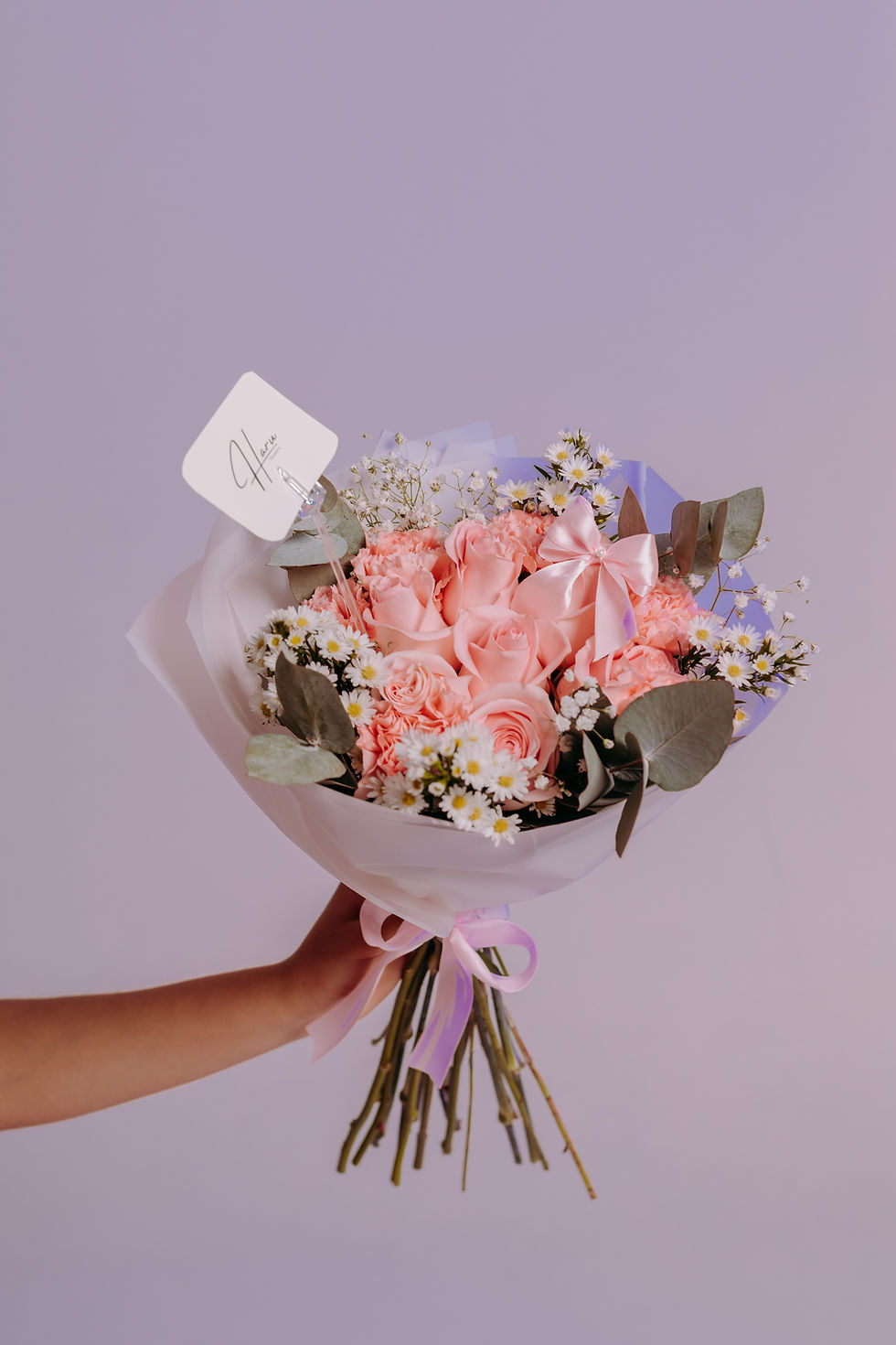 Miniatura: Coquette Lover