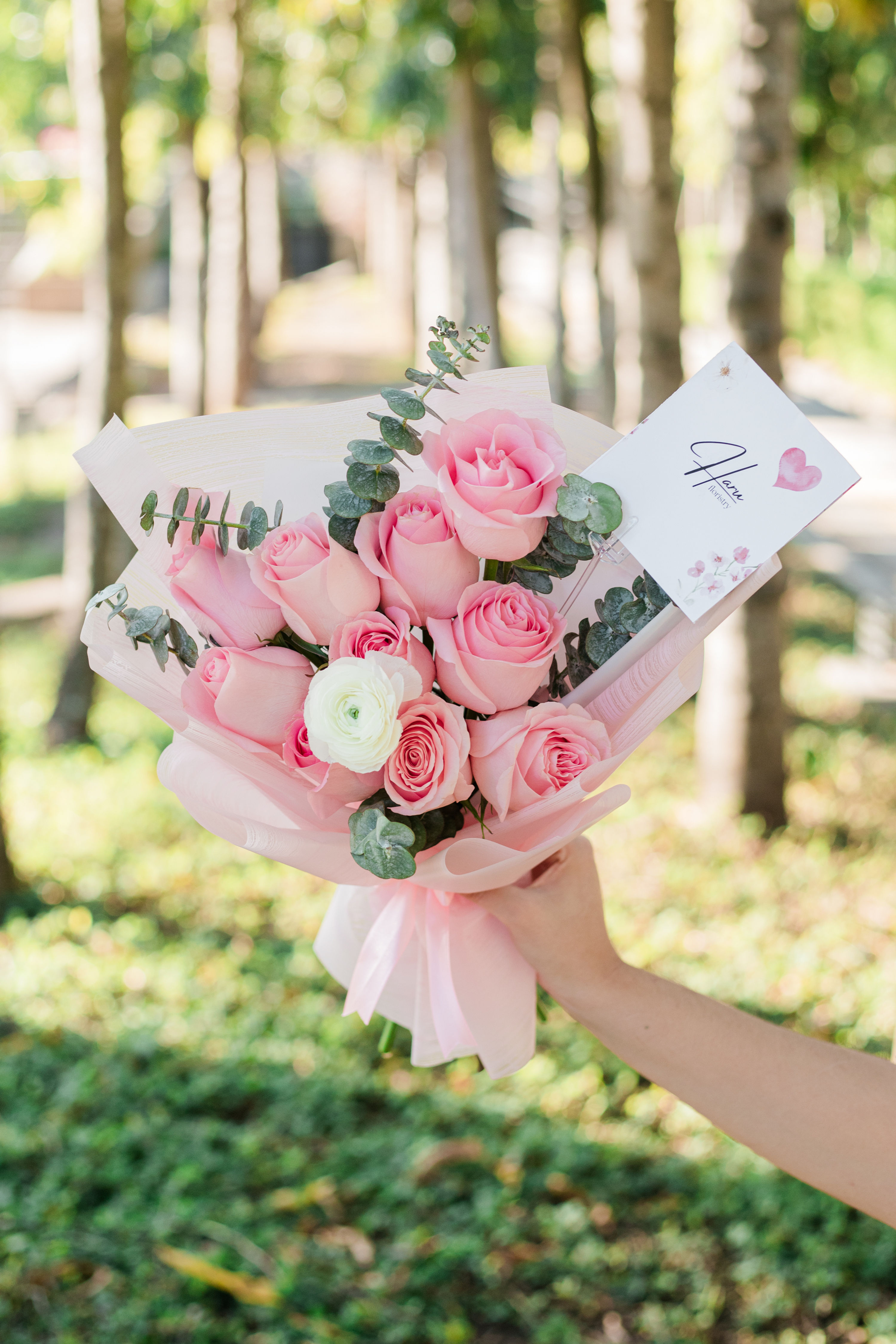 Valentine 6- Apapacho